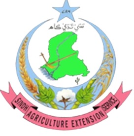 Agriculture Extension Sindh