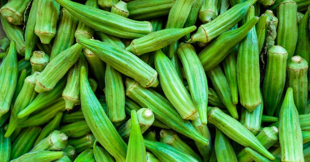 OKRA-Lady Finger