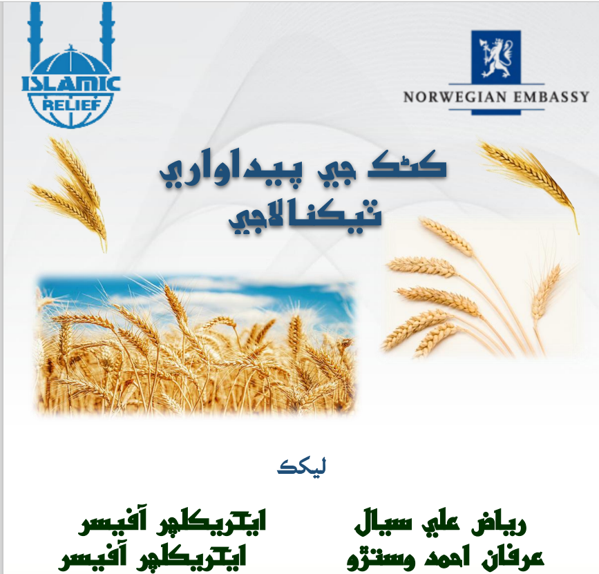 Wheat production technology-ڪڻڪ جي پيداوار ٽيڪنالاجي