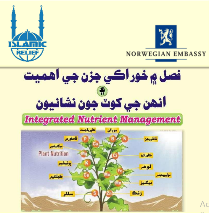 Importance of Nutrient Elements in Crops and Their Deficiency Symptoms