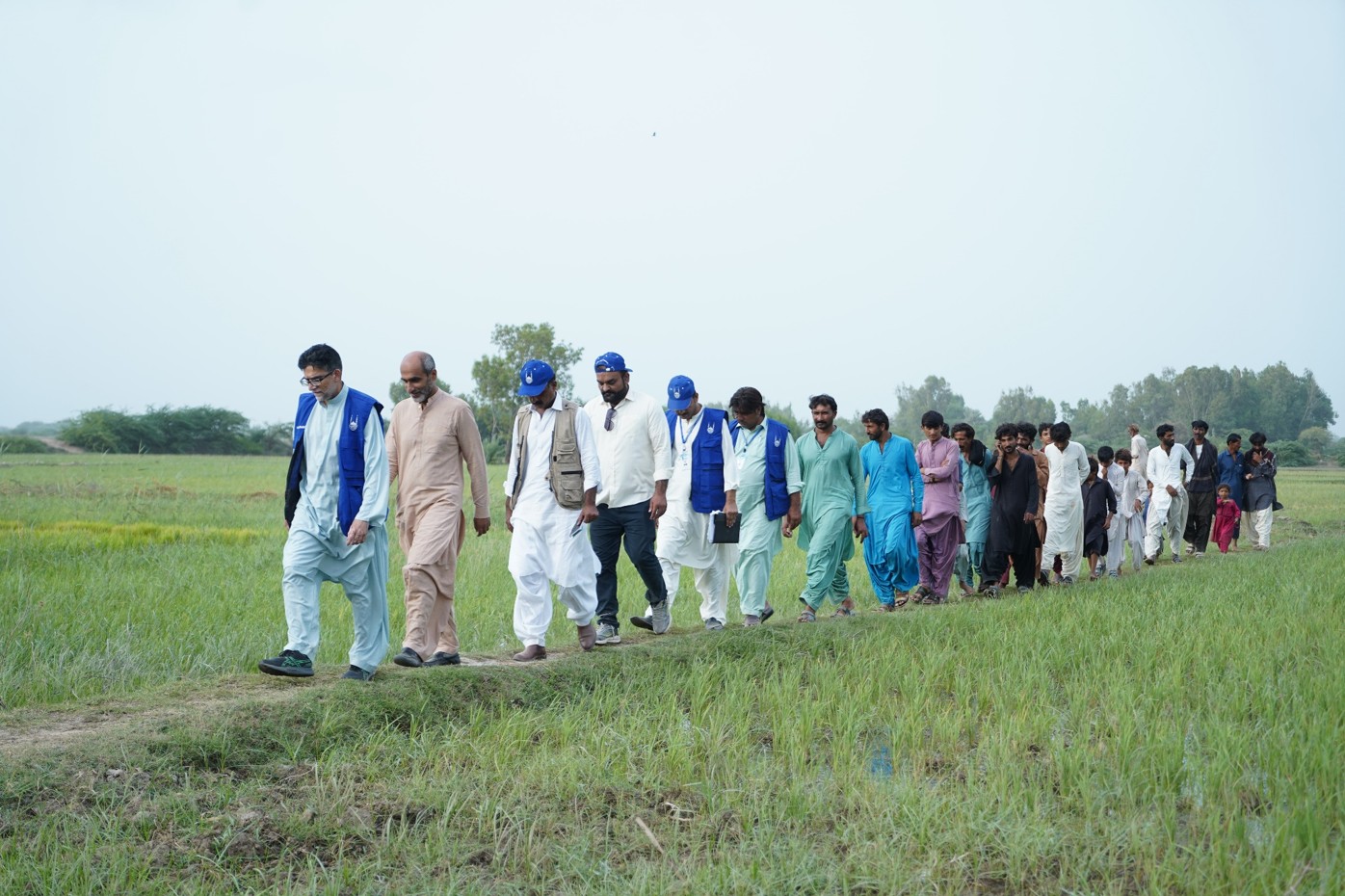 Climate Adaptive Actions for Food Security in Sindh-Thatta (CAAFSS)