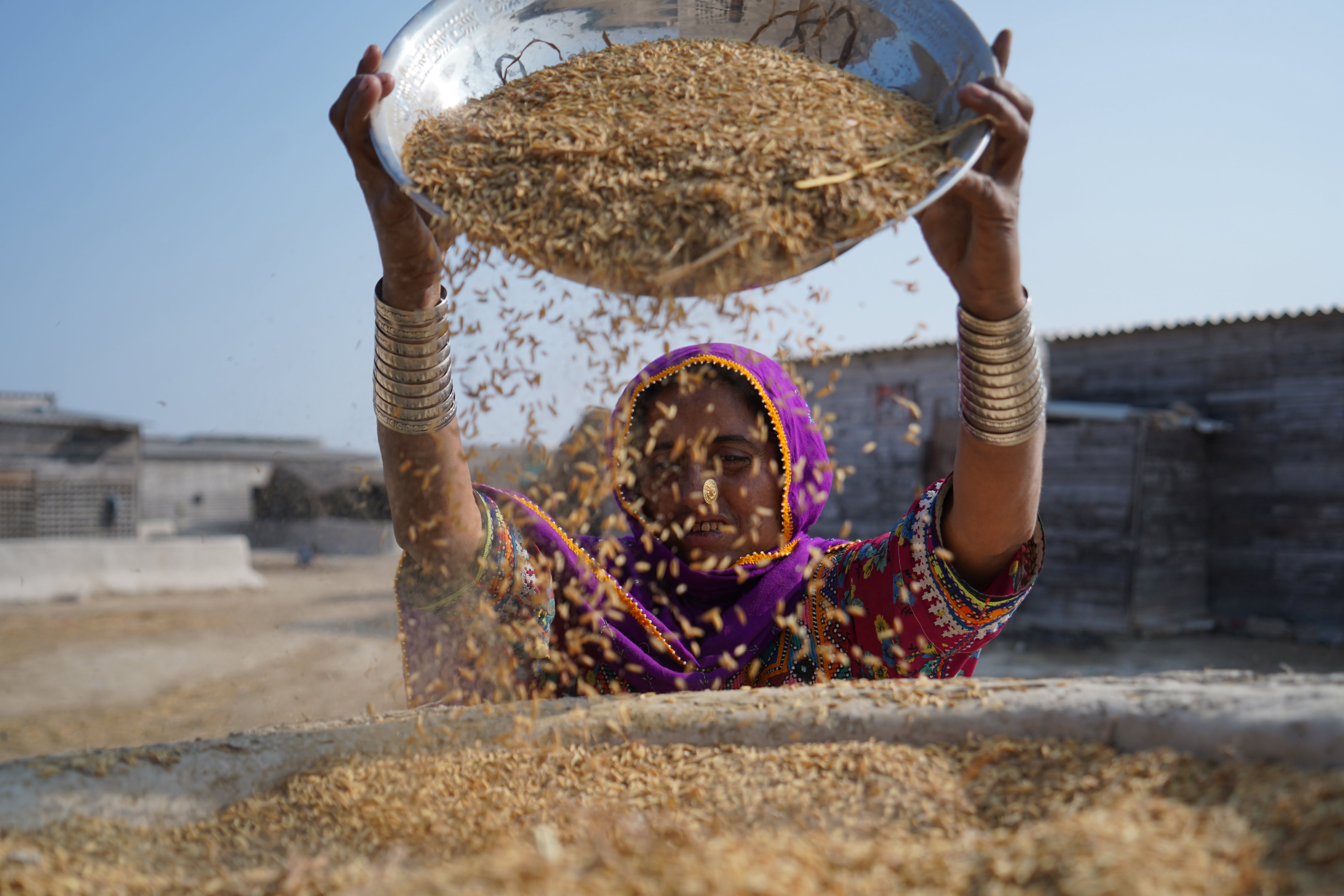 Message For Hardworking Wheat Farmers